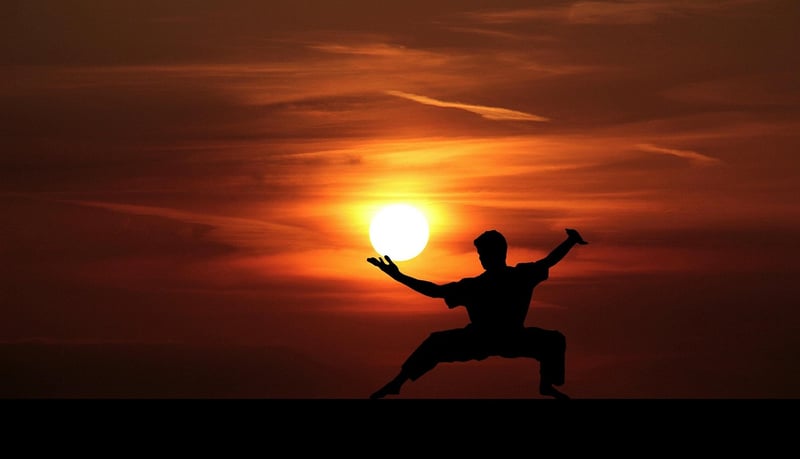 Yang Style Tai Chi
